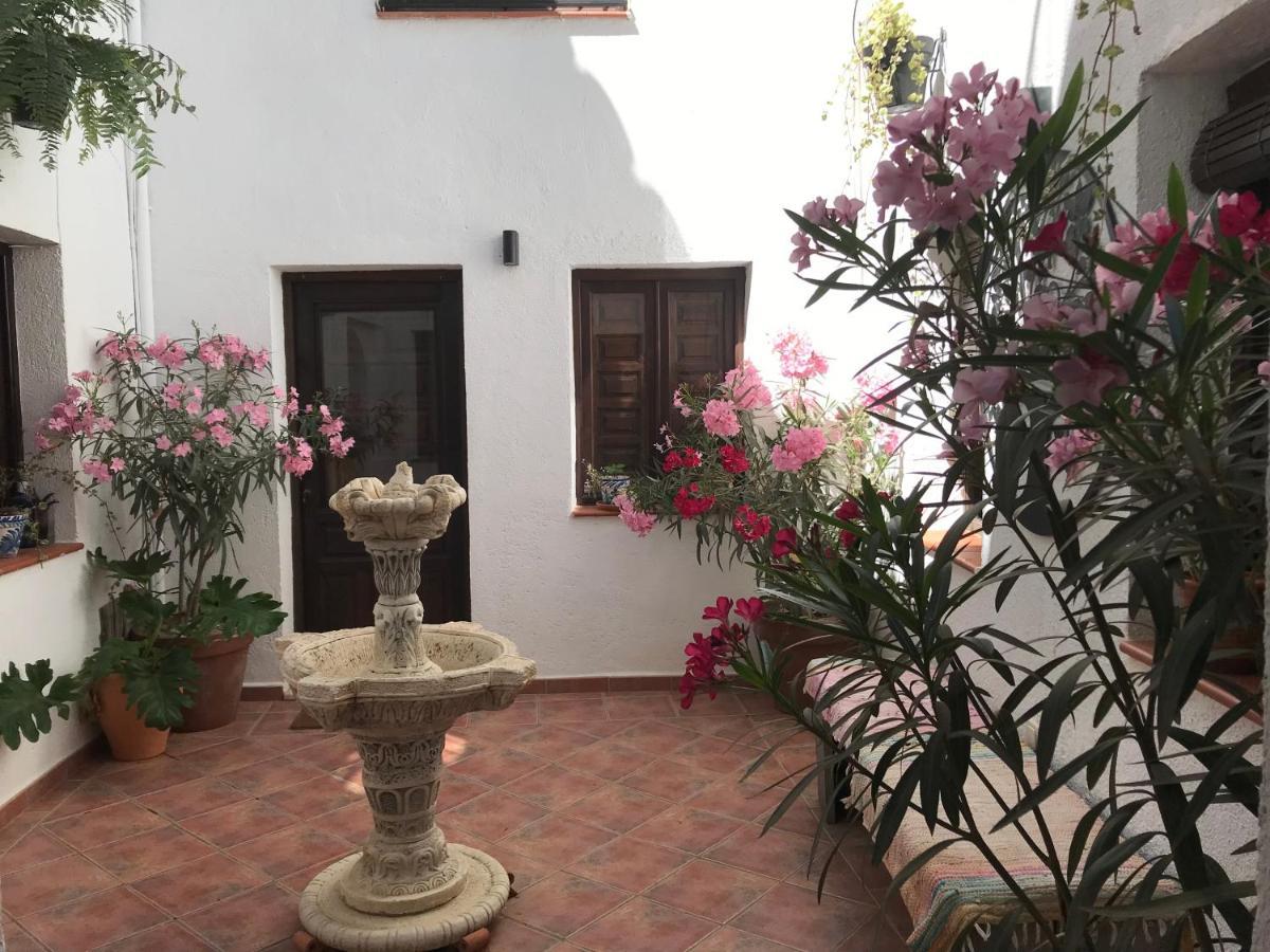 Casa Sol Y Aire - Vakantievilla In Dorp Met Prive Zwembad Pinos del Valle Exteriér fotografie